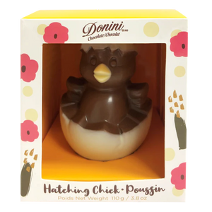 Hatching Hollow Chick